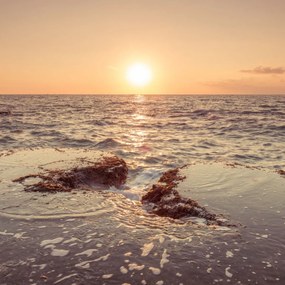 Poszter 80x80cm Naplemente a tengerparton, Assaf Frank