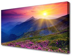 Vászonkép nyomtatás Virág Mountain Meadow Tájkép 100x50 cm