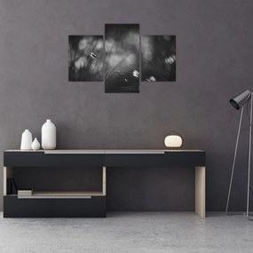 Kép - Mezei fű (90x60 cm)