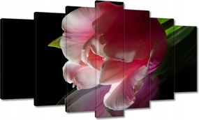 Vászonkép 140x80 Rózsaszín tulipán virág
