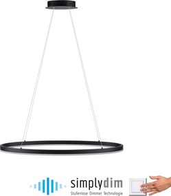 Paul Neuhaus modern függeszték titus antracit pln2392-13