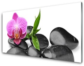 Üvegkép Virág Stones Art 100x50 cm