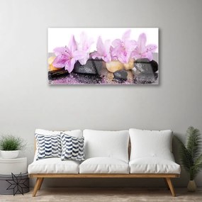 Akril üveg kép Rózsaszín liliom virág 125x50 cm