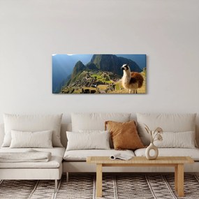 Kép - Láma és Machu Picchu (120x50 cm)