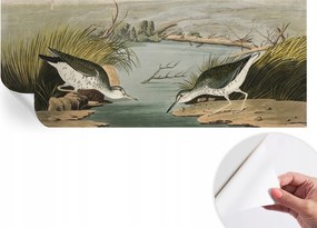 Fotótapéta Öntapadós Dekoratív tapéta Csendes tájkép 250x104 cm