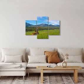 Kép - Szarvas a réten (90x60 cm)