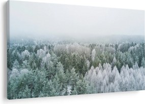 Kép - Havas erdőcsúcsok (90x60 cm)