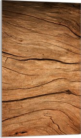 Üveg Vágódeszka 30x52 Fa Konyha