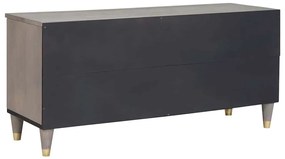 TV szekrény Szürke és Arany 100 x 33.5 x 46 cm Tömör mangófa