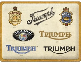 Fém tábla Triumph - Logo Evolution, (40 x 30 cm)