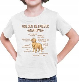 Gyerek Póló Fehér Kutyával Golden retriever anatómia