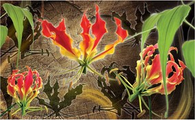 Fotótapéta Gloriózis Egzotikus trópus virág perspektíva 208x146 +ragasztó