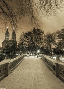 Poszter 20,5x28,4cm Central Park Bow Bridge Manhattan panorámával, Assaf Fra