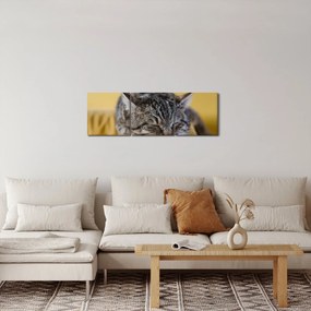 Macska a kanapén képe (órával) (90x30 cm)