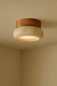 Worm-S - Oak