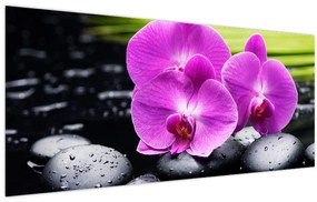 Kép - Orchideák (120x50 cm)