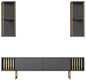 TV szekrény Gold Line - Anthracite, Black