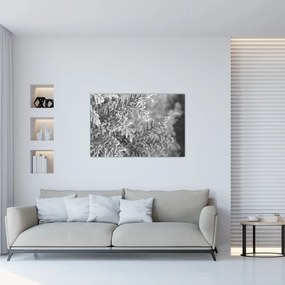 Kép - Lucfenyő erdő (90x60 cm)