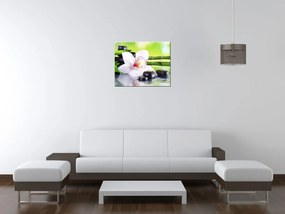 Gario Vászonkép Fehér orchidea és kövek Méret: 100 x 70 cm