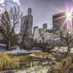 Poszter 60x60cm Központi park Alsó-Manhattan panorámával, Assaf Frank