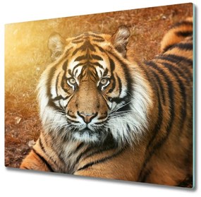 Üveg vágódeszka bengáli tigris 60x52 cm