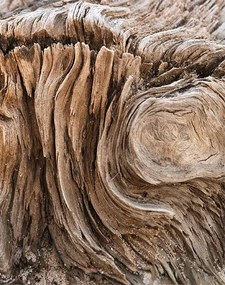 Fotótapéta 200x254 tapéta flizelin Fa #F125