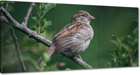 Festmények 180x90 A hétköznapi is lehet szép