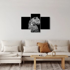 Kép - Leopárd (90x60 cm)