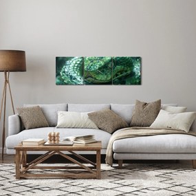 Kép - Egy kígyó portréja (órával) (90x30 cm)