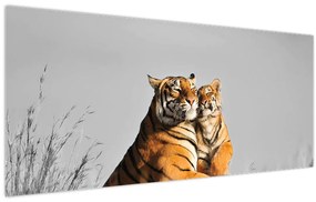 Kép - Tigris és a kölyke, fekete-fehér változat (120x50 cm)