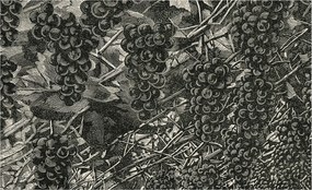 Tapéta Flizelin Falfestmény Prémium Szőlő nyomtatás 416x254 Ragasztó