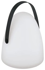 Eglo 48841 - LED Kültéri asztali lámpa COLLIRADOS LED/3xAA IP44