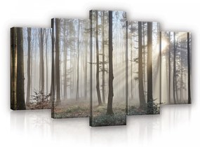 Vászonkép 5 darabos,Erdő a tavaszi napfényben 100x60 cm méretben
