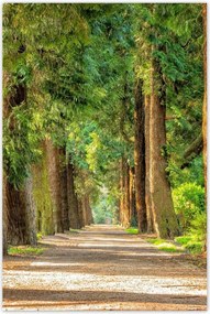 Poszterek 60x90 Tájkép