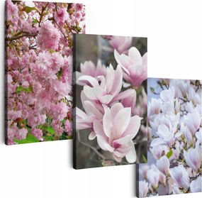 Vászonkép 150 cm **többféle minta** Nappali Képek Triptichon Virágok