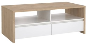 Fehér-natúr színű dohányzóasztal 60x120 cm Next – Tvilum