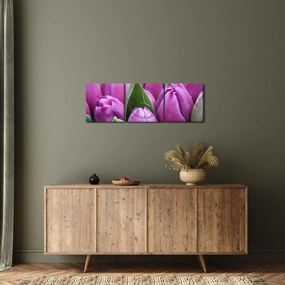Kép - tulipánok (órával) (90x30 cm)