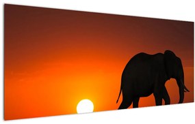 Elefánt képe naplementekor (120x50 cm)