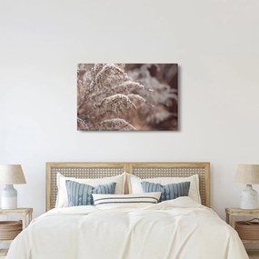 A növények képe (90x60 cm)