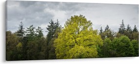 Egy zöld fa képe a mező közepén (120x50 cm)