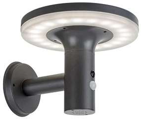 Rabalux 77017 - LED Napelemes lámpa érzékelővel ALASKA LED/10W/3,7V IP44