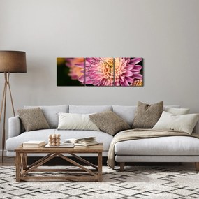 Részletes virágkép (órával) (90x30 cm)