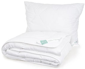 4Home Aloe Premium paplan és párnák szett, 140 x 200 cm, 70 x 90 cm