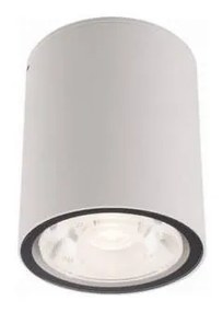 Nowodvorski EDESA kültéri mennyezeti lámpa, fehér, 3000K melegfehér, beépített LED foglalattal, 1x6W, 370 lm, TL-9108