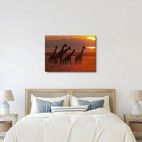 Kép - Zsiráfok az afrikai szavannán (70x50 cm)