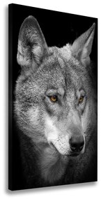 Vászonkép Portré a farkas ocv-103311727