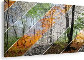 Kép - Változó évszakok (90x60 cm)