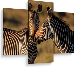 Kép - Két zebra (90x60 cm)