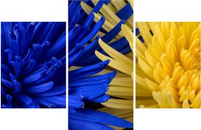 Kép - virág részlet (90x60 cm)