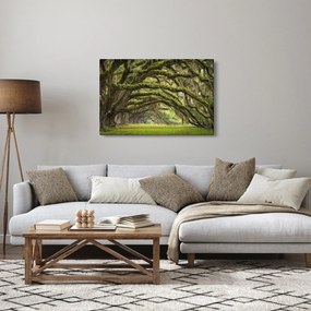 Kép - Oaks Avenue, Charleston, Dél-Karolina, Egyesült Államok (90x60 cm)